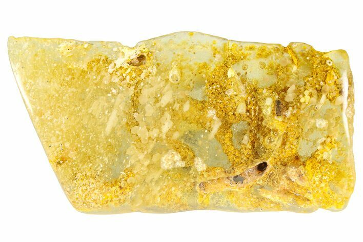 Polished Colombian Copal ( g) - Contains Termites & Enhydros #364289